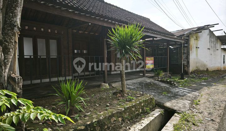 Classic House in Tambaksari, Blora