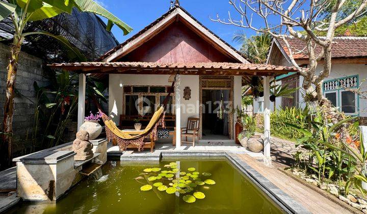 Unique House On Spacious Land In Prime Lovina Location For Sale  2