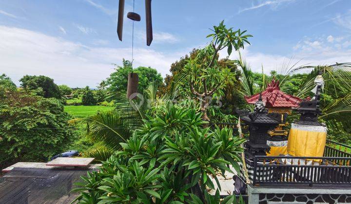 Freehold House In Buleleng Area For Sale 2