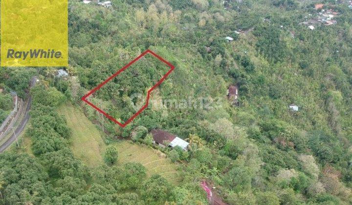 Prime 3100 sqm Land  in Lovina Hills - Sea View & Green Scenery 1