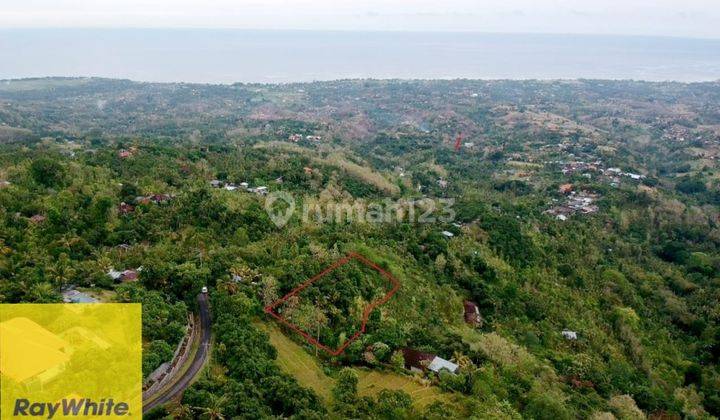 Prime 3100 sqm Land  in Lovina Hills - Sea View & Green Scenery 2