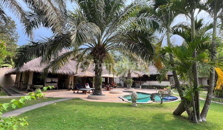 Charming Villa With Expansive Garden Oasis ! Only 20 Mins From North Bali Airport Development Plan! 1