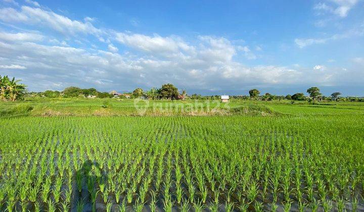 BEACH FRONT LAND LOCATED IN SINGARAJA CITY SIDE 2