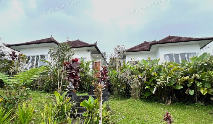 Peaceful Villa in Bali's Cool Highlands with Serene Views Peaceful Villa in Bali's Cool Highlands with Serene Views