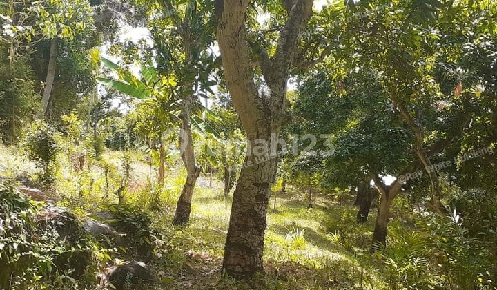 want to build your dream home?