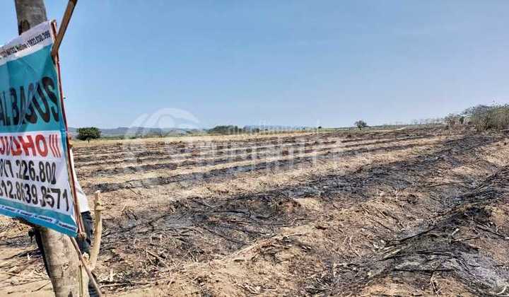 Harta Karun Investor.. Zona Industri Gudang.. Tanah Ini di Kertajati Majalengka 5