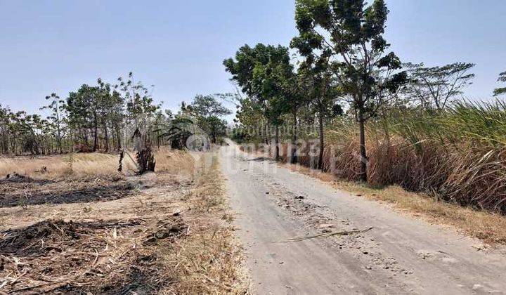 Blow Your Mind Beli Tanah di Area Kertajati Majalengka Bisa Untuk Usaha Apapun 4