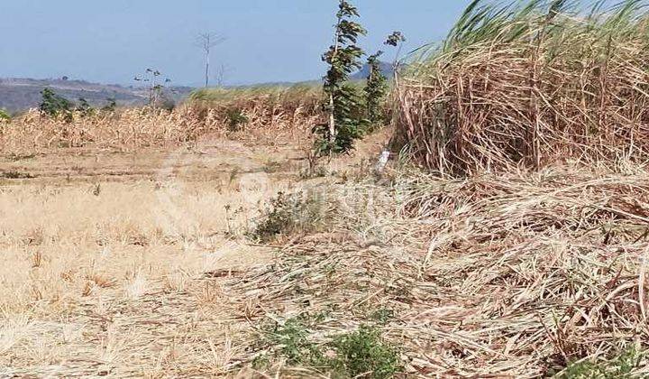 Punya Impian Apapun Bisa di Wujudkan di Tanah Area Kertajati Majalengka 1