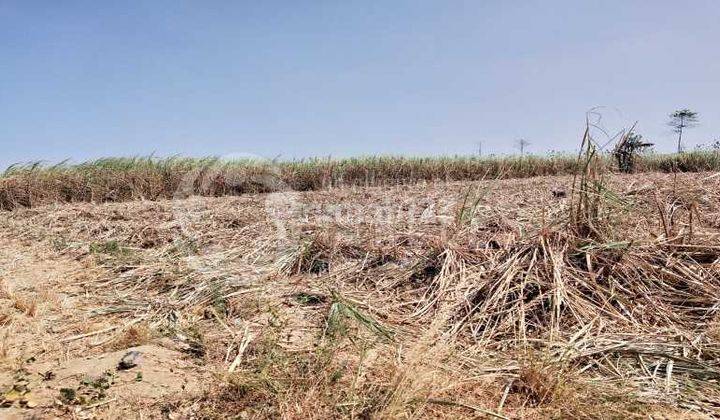 Punya Impian Apapun Bisa di Wujudkan di Tanah Area Kertajati Majalengka 3