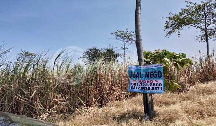 Punya Impian Apapun Bisa di Wujudkan di Tanah Area Kertajati Majalengka 5