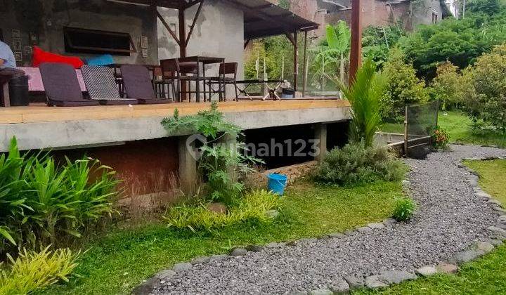 Rumah Dan Ruang Usaha Bernuansa Alam di Sulfat Blimbing Malang 1