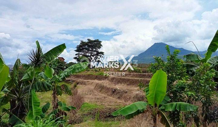 Tanah Luas Cocok Buat Perumahan di Sisir Batu Malang 1