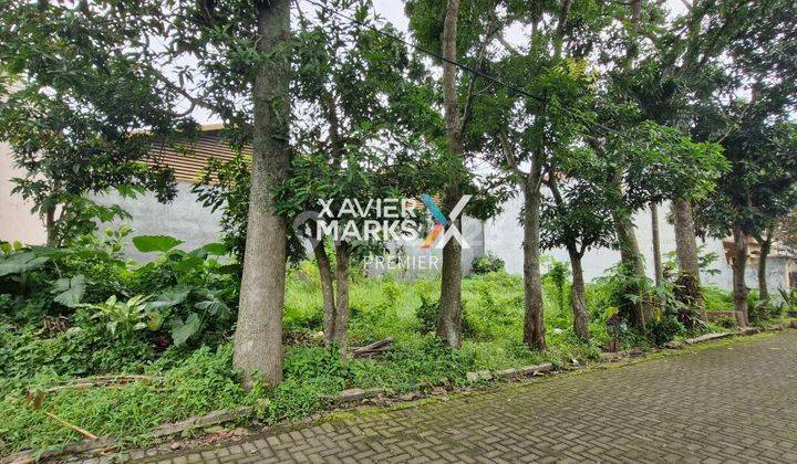 Tanah Kavling di Arjosari Blimbing Malang 300 m² 3.5jt Nego 2