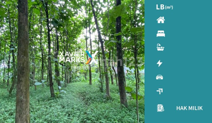 Tanah Siap Dibangun Lokasi Strategis Demat Bandara Abd. Saleh