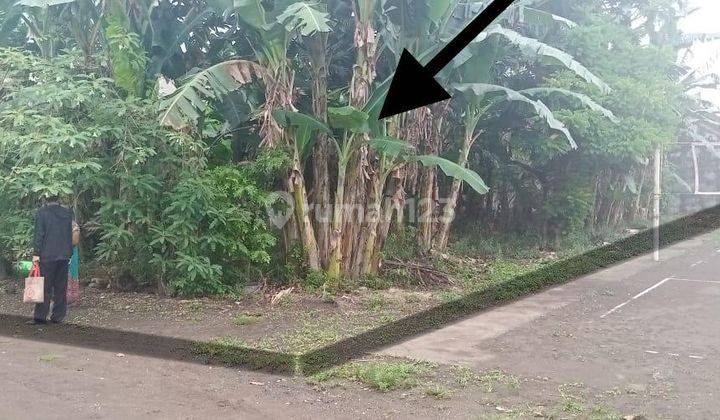 Tanah Pekarangan 357 Meter Persegi Dekat Kampus PGRI Kasihan Bantul 1