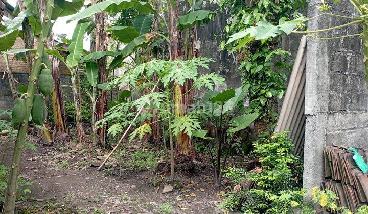 Dl. Tanah+bangunan di Mantrijeron Dekat Alun alun Kidul Yogya 5