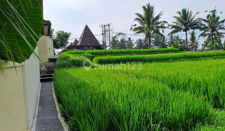 Tanah Cocok Untuk Villa View Alam Cantik Di Daerah Ubud Bali 1