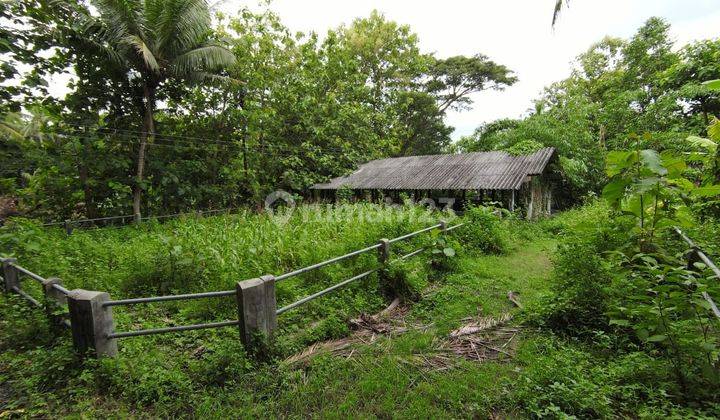 Tanah SHM Luas 1880 Meter Persegi Lokasi Sentolo Kulon Progo 1