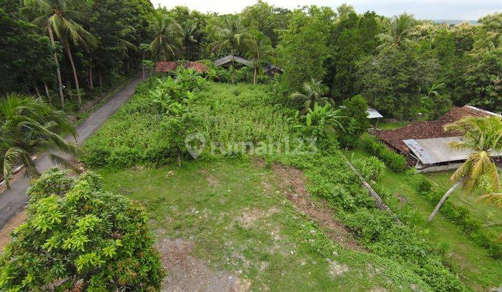 Tanah SHM Luas 1880 Meter Persegi Lokasi Sentolo Kulon Progo 2