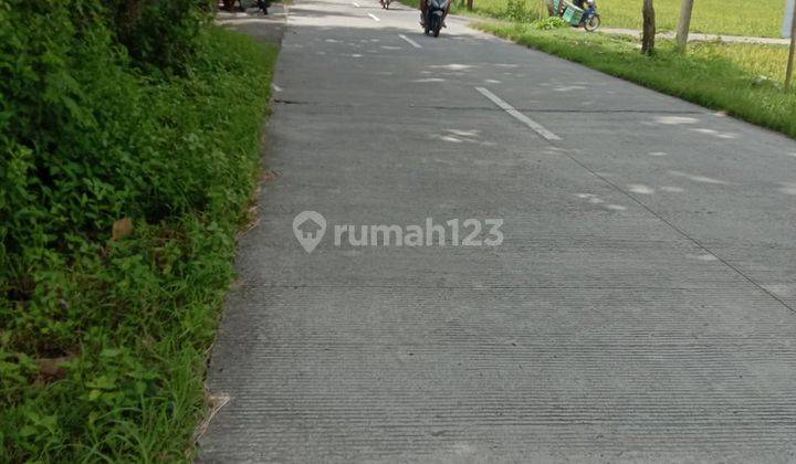 Tanah Sawah Luas 1.430 Meter Persegi Lokasi di Kedungampel Klaten 2