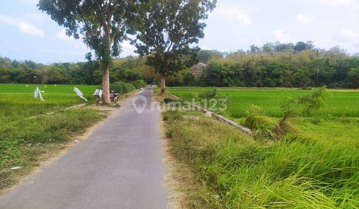 Tanah Luas 7330 Meter Persegi Lokasi Dekat Kampus UMY Gamping Sleman 2