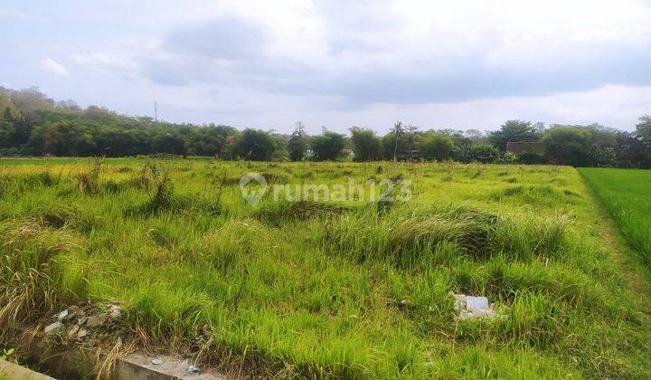 Tanah Luas 7330 Meter Persegi Lokasi Dekat Kampus UMY Gamping Sleman 1