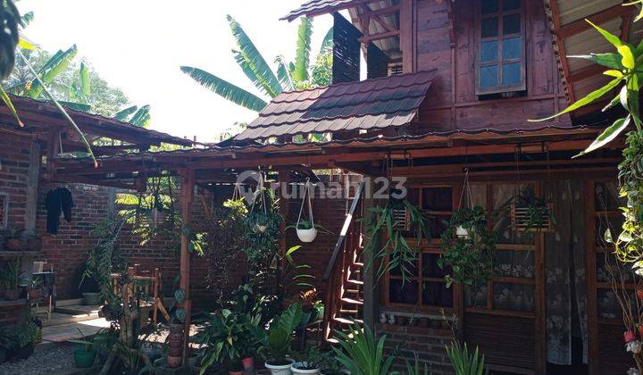 Rumah Tinggal Bonus Mobil dan Kebun Kopi Lokasi Temanggung 2