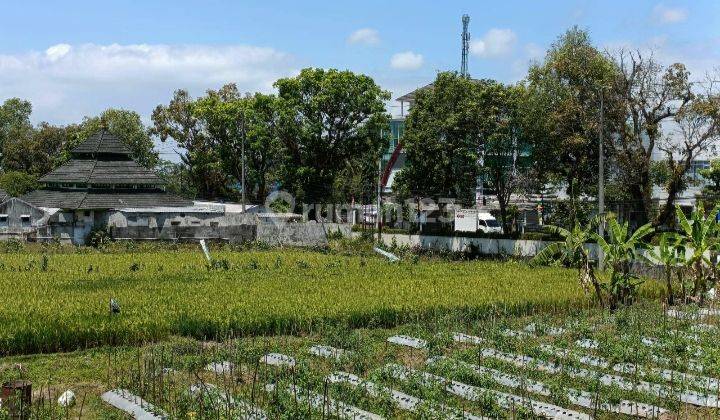 Tanah Sawah Luas 779 Meter Persegi Lokasi di Jl Raya Secang-Temanggung 1