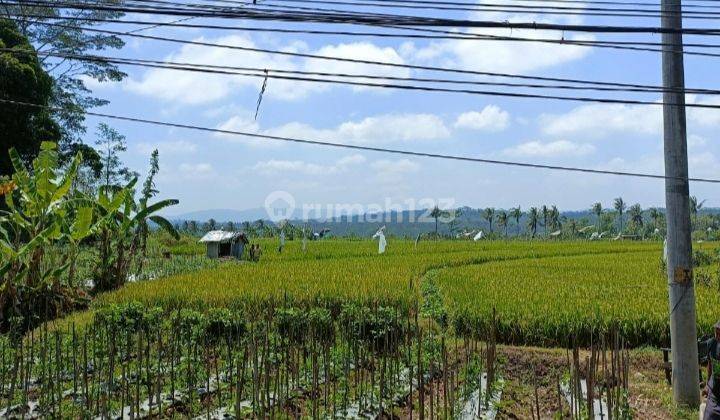 Tanah Sawah Luas 779 Meter Persegi Lokasi di Jl Raya Secang-Temanggung 2