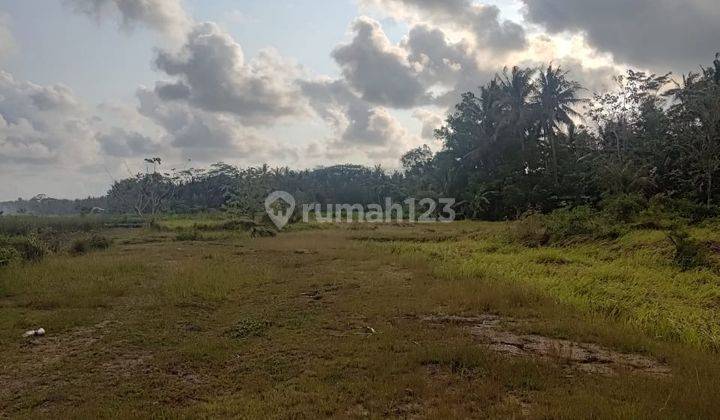 Tanah Seluas 3682 Meter Persegi Lokasi Strategis Dekat Bandara YIA 2