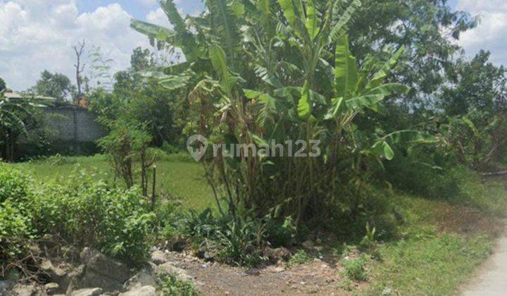 Tanah Sawah Luas 706 Meter Persegi Lokasi Bambanglipuro Bantul 1