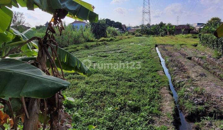 Tanah Sawah Luas 1769 Meter Persegi Lokasi Dekat Terminal Giwangan Banguntapan Bantul 1