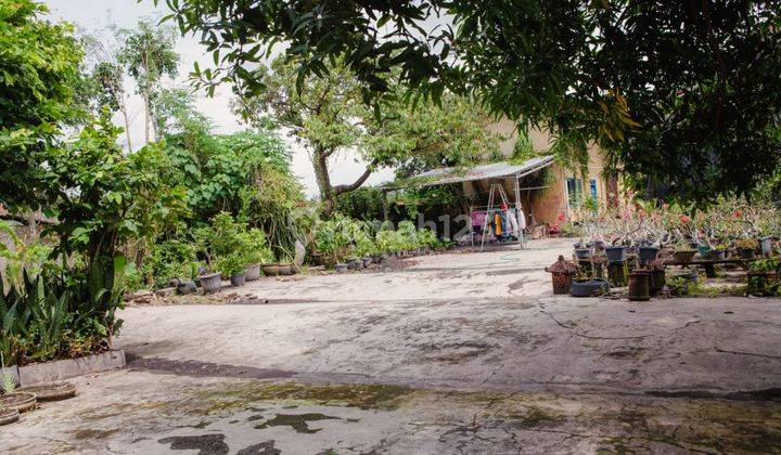 Rumah & Gudang 2518 Meter Persegi Dekat Dengan Musium Grabah Sewon Bantul  2