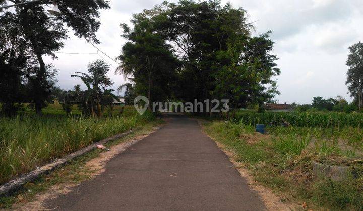 TANAH SAWAH DIATAS 1000 METER DAN BANGUNAN DI JL BOLO, KALASAN, SLEMAN 2