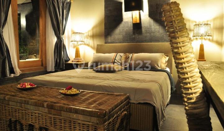 Home Stay Cantik dengan Konsep Tropis di Daerah Kasihan, Bantul 2