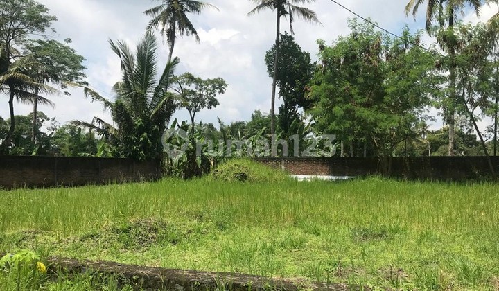 Dijual Tanah Kavling 140 Meter Persegi Strategis Dekat Kampus Uii Siap Bangun di Sardonoharjo, Ngaglik, Sleman