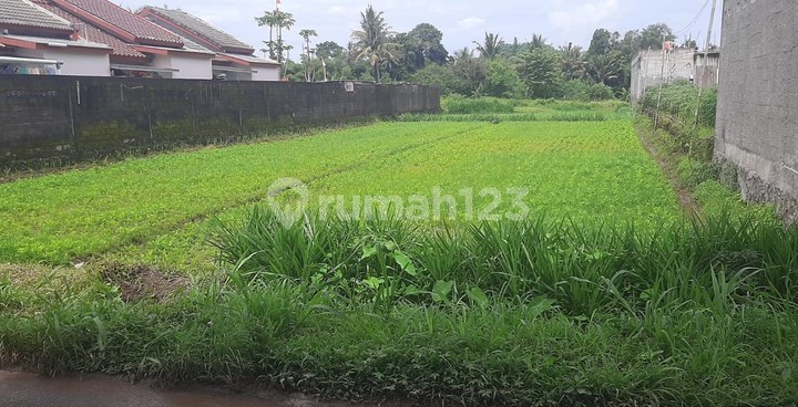 Tanah Sawah Strategis 1.465 Meter Persegi Cocok untuk Investasi di Tirtoadi, Mlati, Sleman