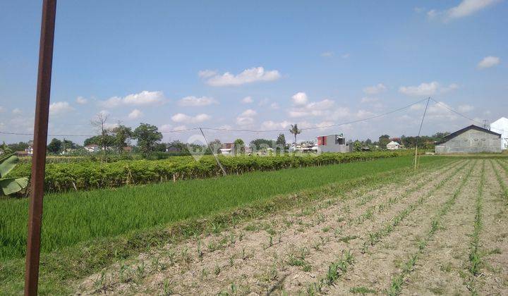 TANAH SAWAH DI TUNDAN PURWOMARTANI, SLEMAN 2