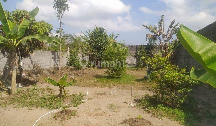 Disewakan Gudang Luas 1130 Meter Persegi Lokasi Caturharjo Sleman  2