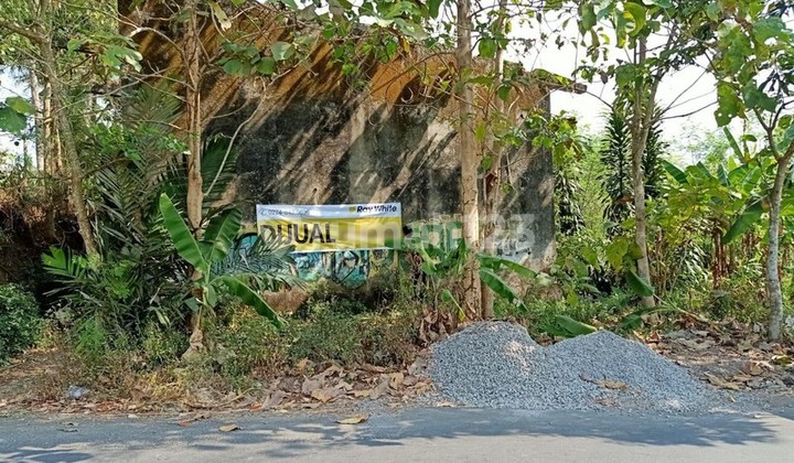 4,840 Square Meters of Land in Mertoyudan, Magelang is Highly Strategic for Housing Clusters!