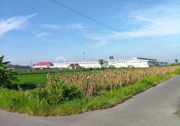 Dijual/Disewakan Tanah 2.520 Meter Persegi Cocok untuk Investasi Jangka Panjang, Bugisa, Prambanan, Klaten