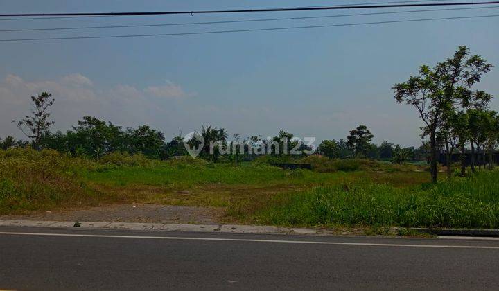 Tanah Luas 4.983 Meter Persegi Dekat Kawasan Wisata Candi Borobudur