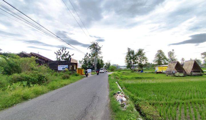 Tanah Strategis 1280 Meter Persegi Lokasi Belakang Kampus UMY kasihan Bantul 2