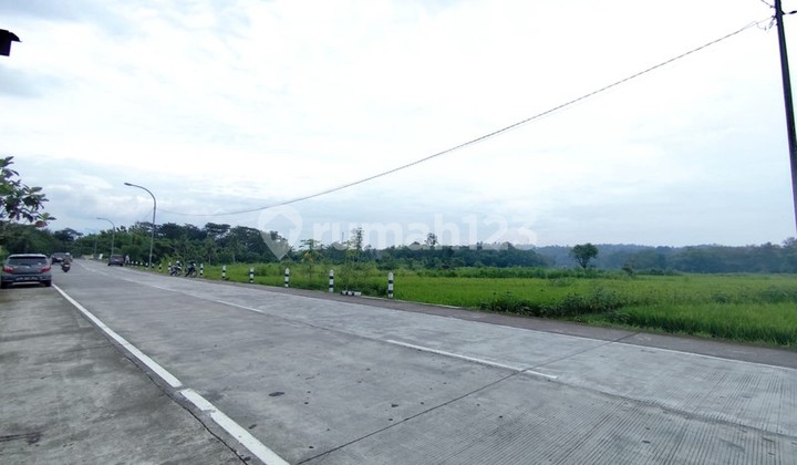 Lahan Super Luas 2,1 Hektar di Pinggir Jalan Nasional Investasi Strategis Dekat Polres & Pusat Kota Wates, Kedungsari, Pengasih, Kulon Progo Lahan Super Luas 2,1 Hektar di Pinggir Jalan Nasional Investasi Strategis Dekat Polres & Pusat Kota Wates, Kedungsari, Pengasih, Kulon Progo