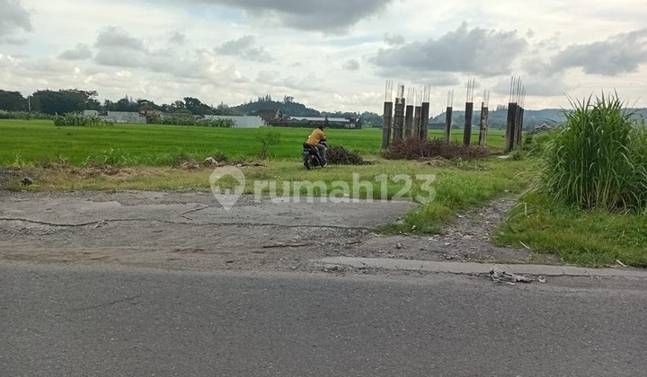 Peluang Investasi Tanah Luas 1.255 Meter Persegi di Bangunjiwo Area Berkembang & Row Jalan Lebar, Bangunjiwo, Kasihan, Bantul