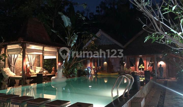 Home Stay Cantik dengan Konsep Tropis di Daerah Kasihan, Bantul 1