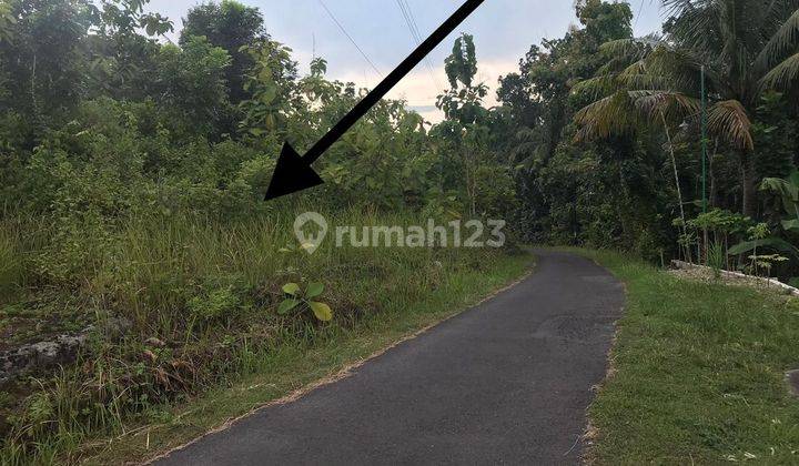 Tanah 3977 Meter Persegi Lokasi Temuwuh Kidul Balecatur Gamping Sleman 2