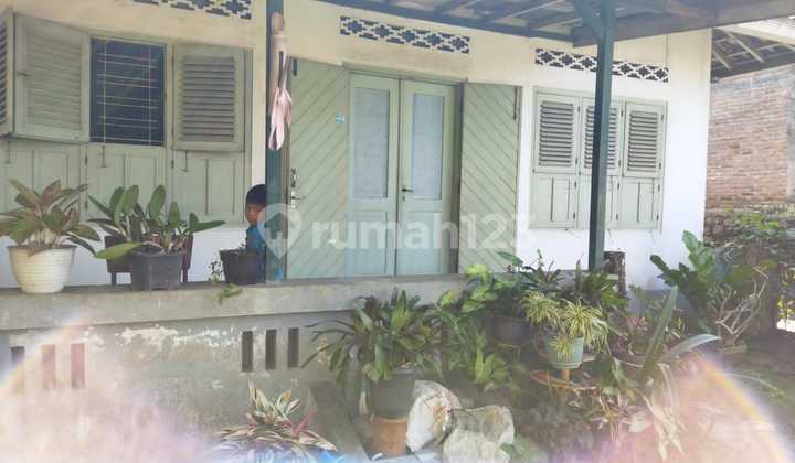Rumah Dengan Desain Bangunan Lama Berada Di Lokasi Strategis Dekat RSUD Muntilan Magelang 1