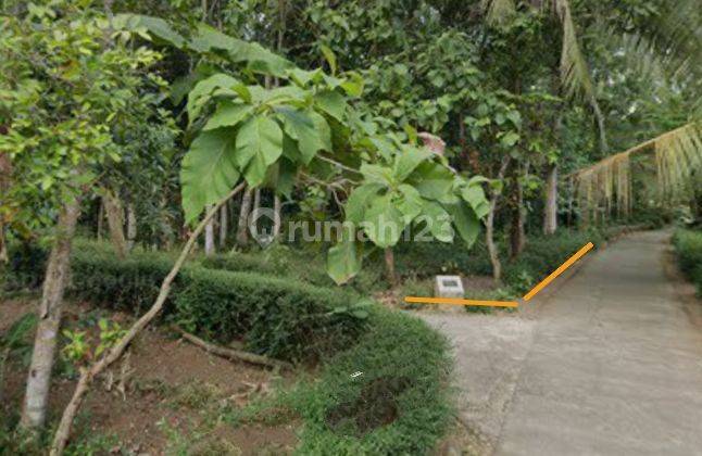 Tanah Pekarangan 1540 Meter Persegi Lokasi Kalibawang Kulonprogo  1