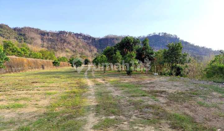 A 1444 Square Meter Plot of Land Located in the Sitimulyo Piyungan Area